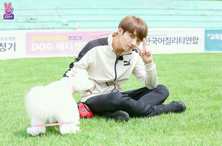 Jungkook and dog