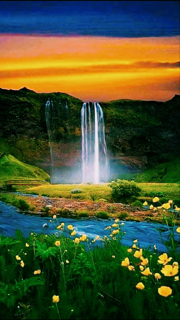 Nature