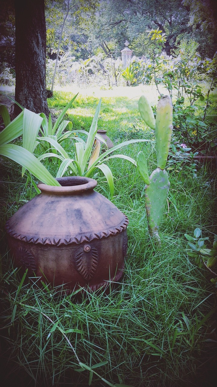 Nature at its best