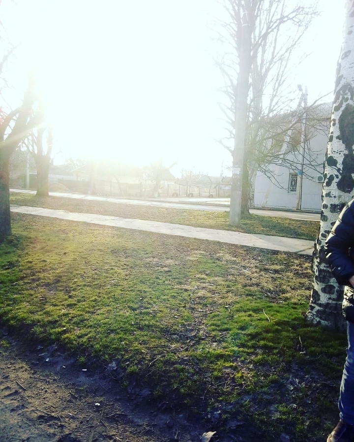 красота