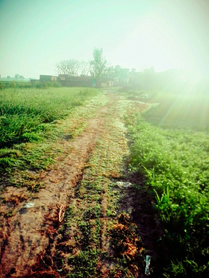 Sun Rise