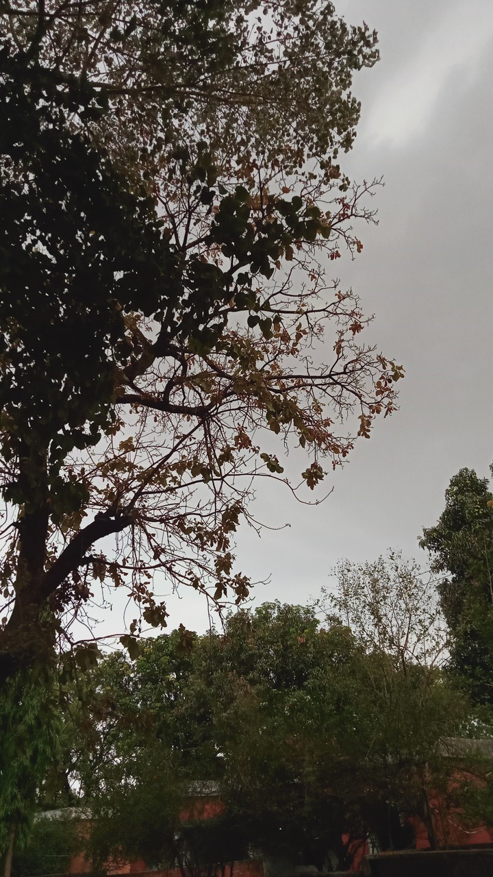 cloudy morning