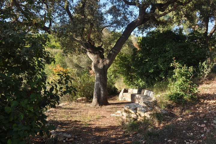 Refugio