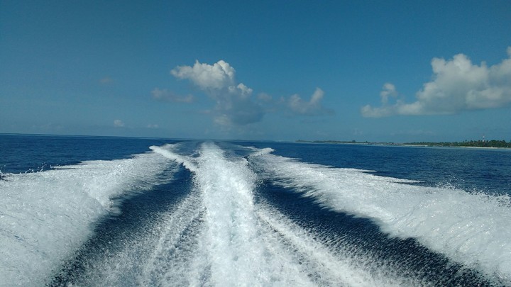 Fish Tail Waves