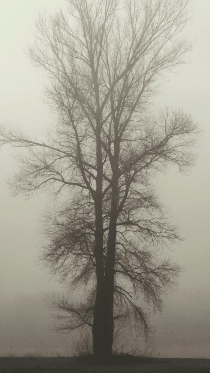 autumn morning walk