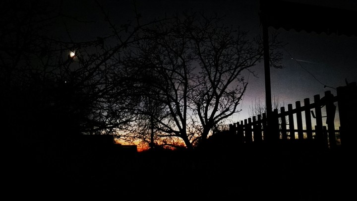 night