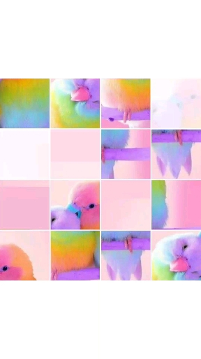앵무새(?)퍼즐