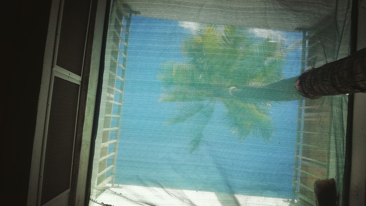 Piece of hawaii pt 1