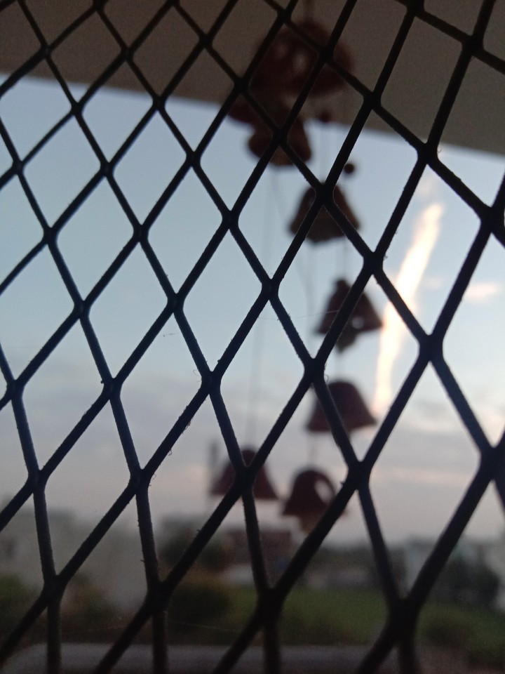 Window view