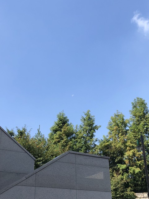 moon