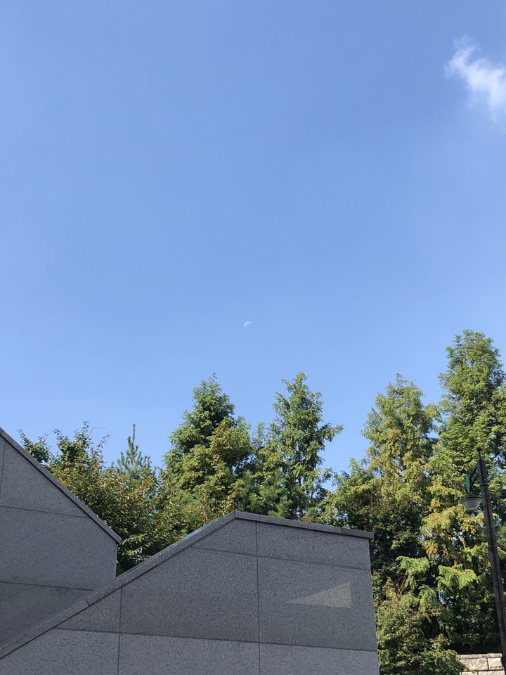 moon