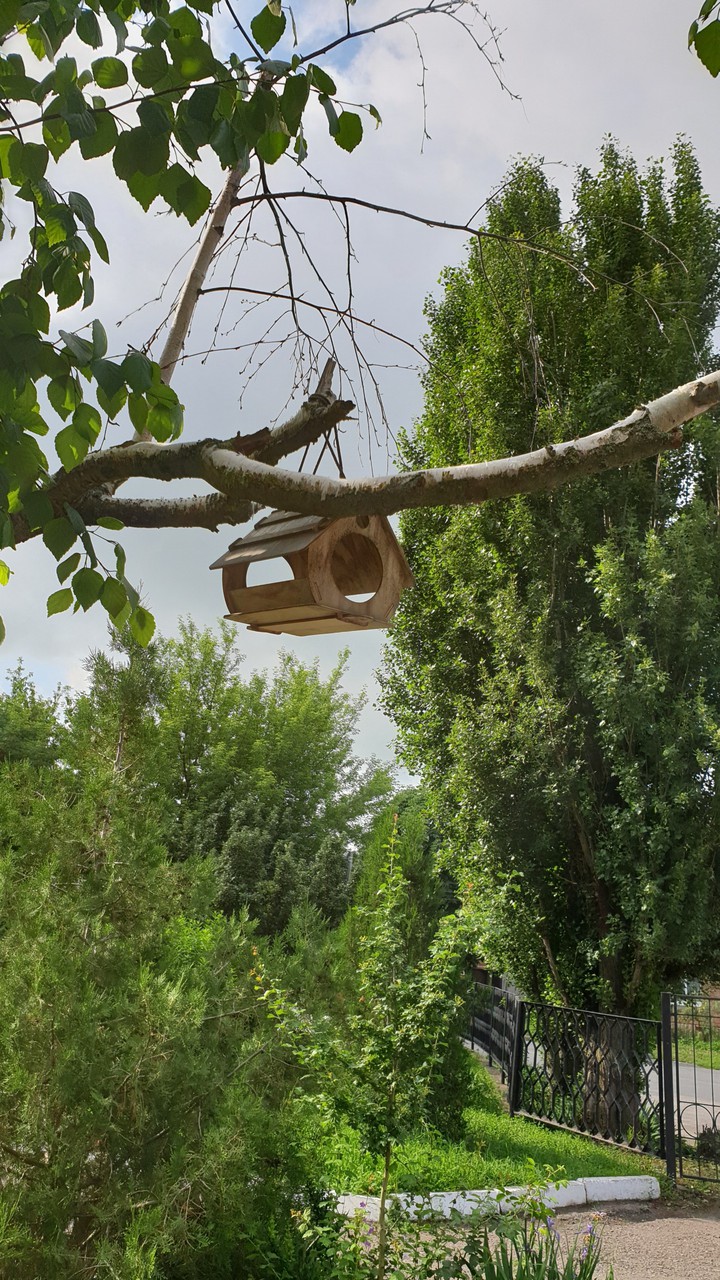 скворечник