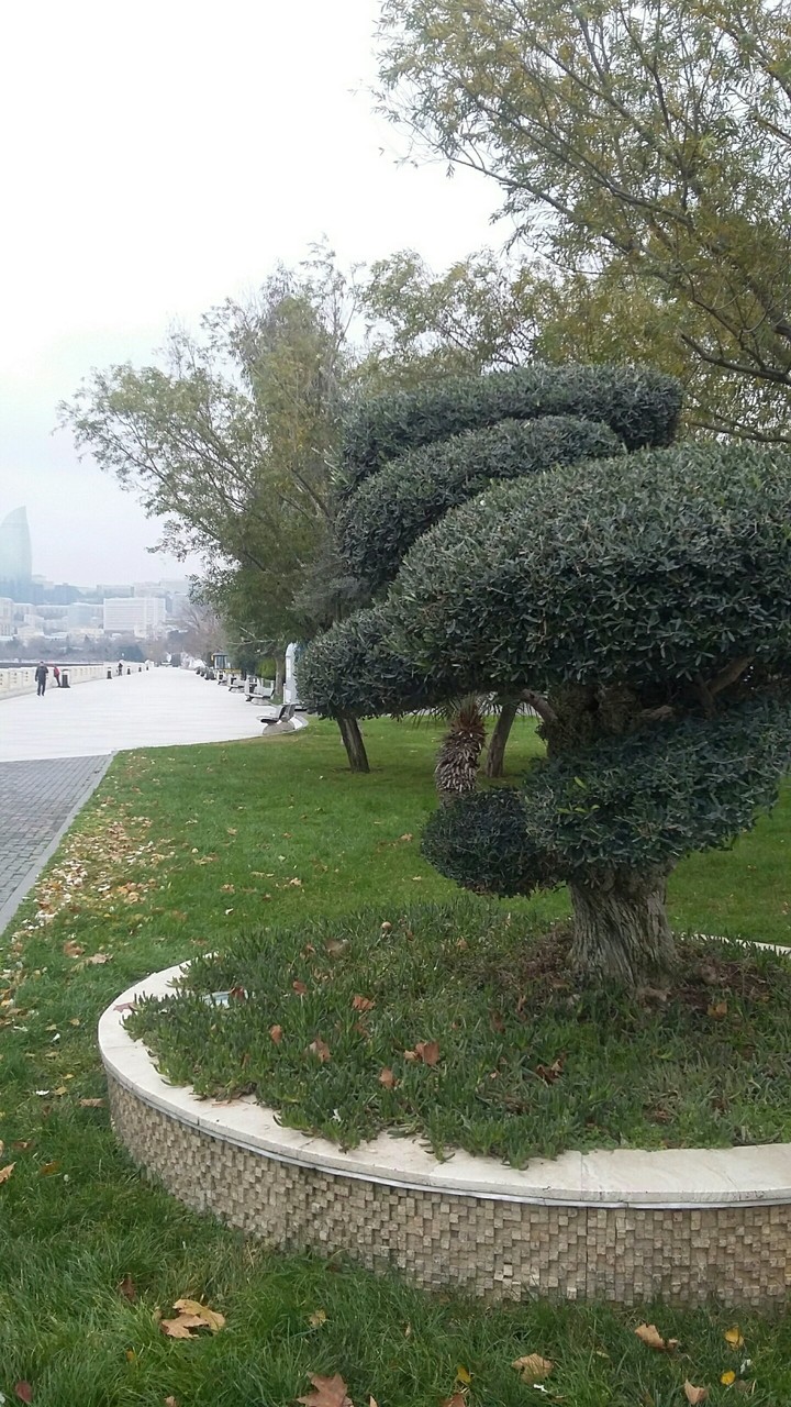 Azerbaycan  Bakı