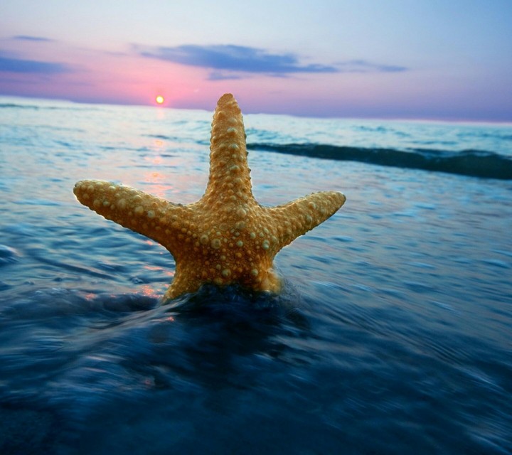 sea