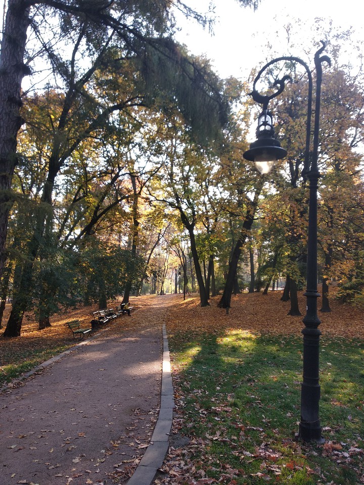 Autumn in Lviv