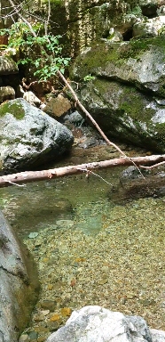 In the valley of Naewonsa Temple