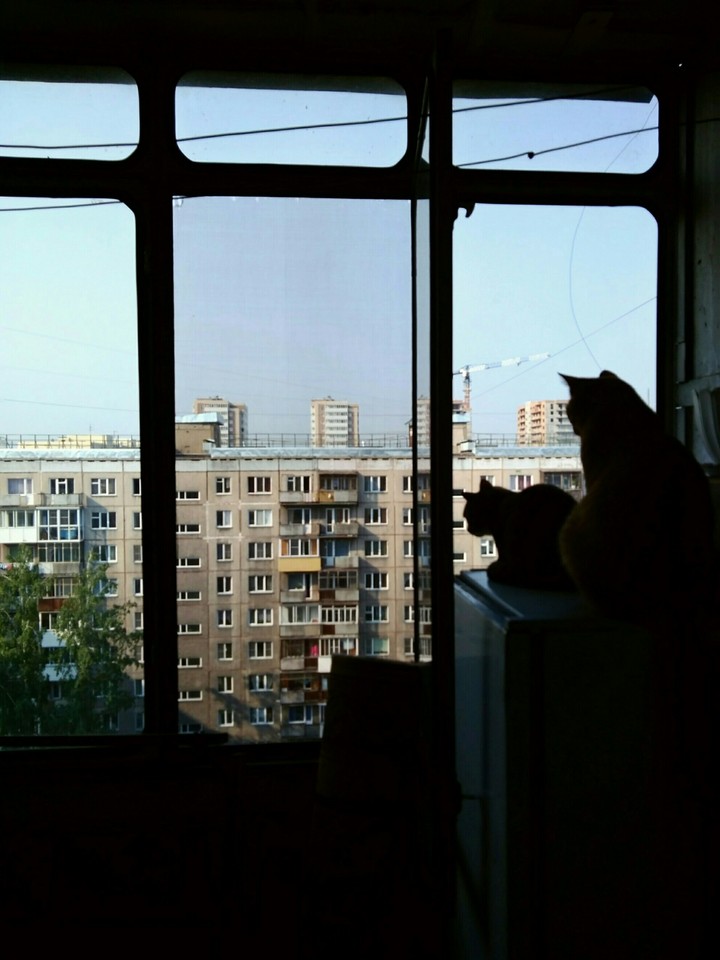 Одна любовь,одни увлечения