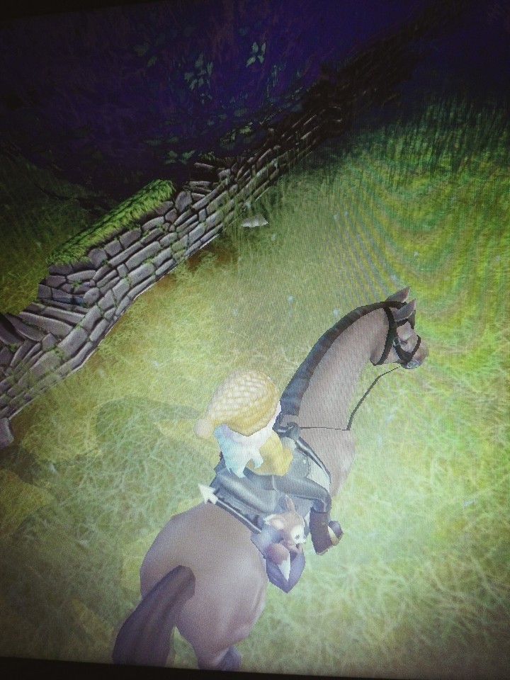 star stable