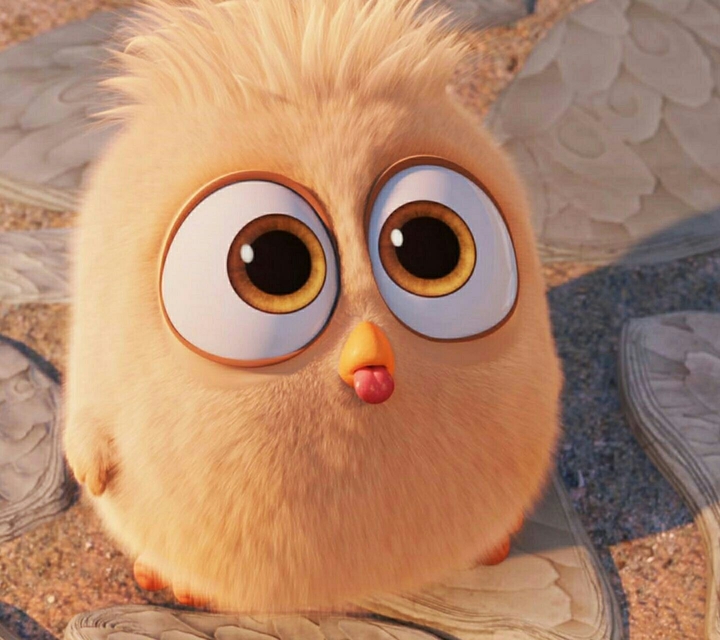 cute