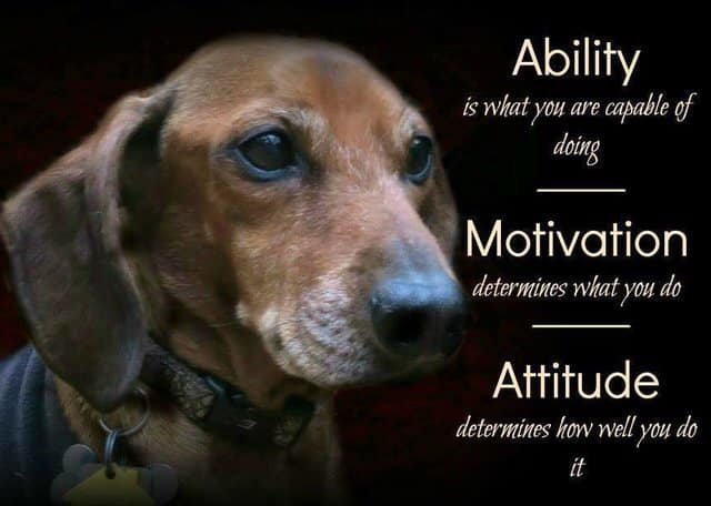 quotes