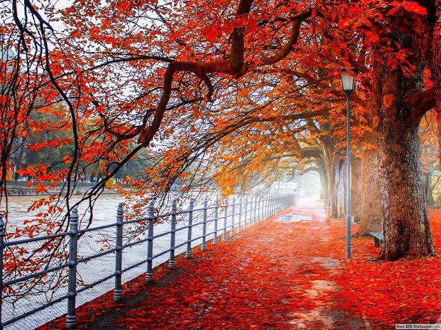 Beautiful scene