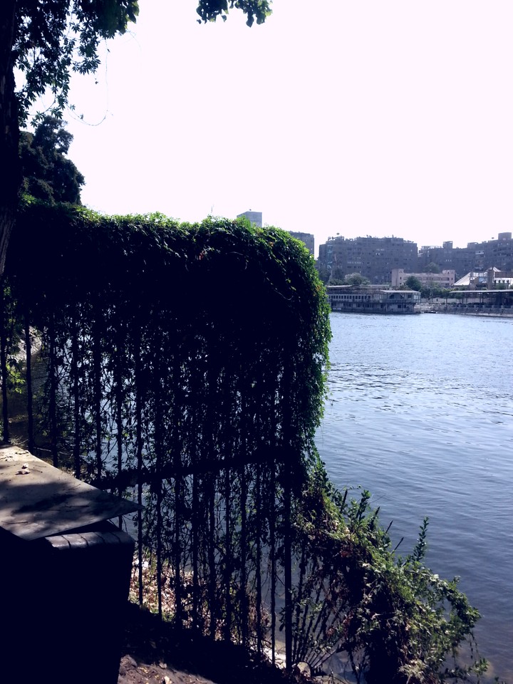 Cairo, Egypt.