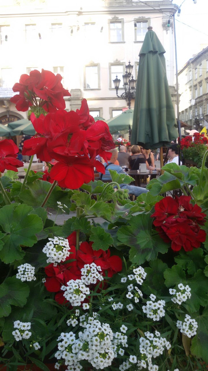 Lviv