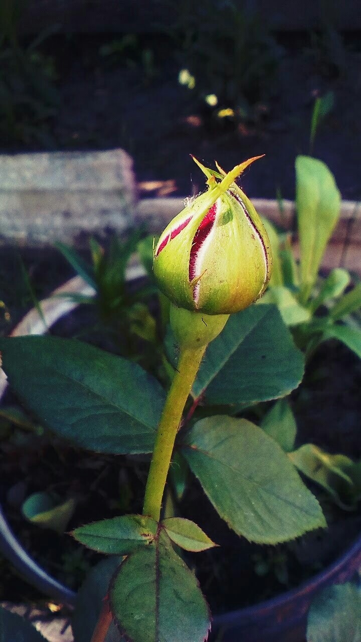 ?