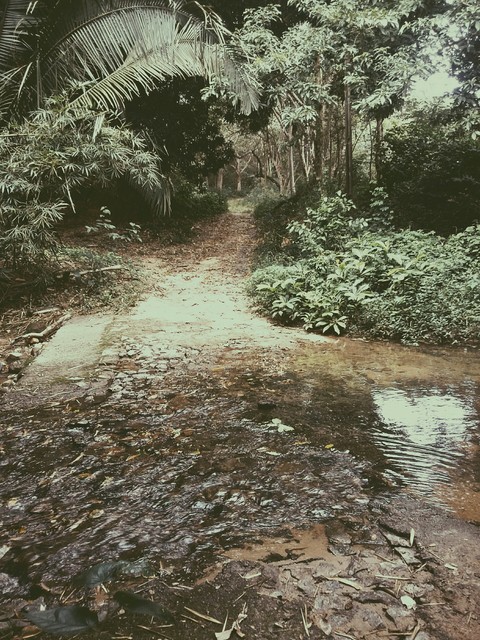 my country