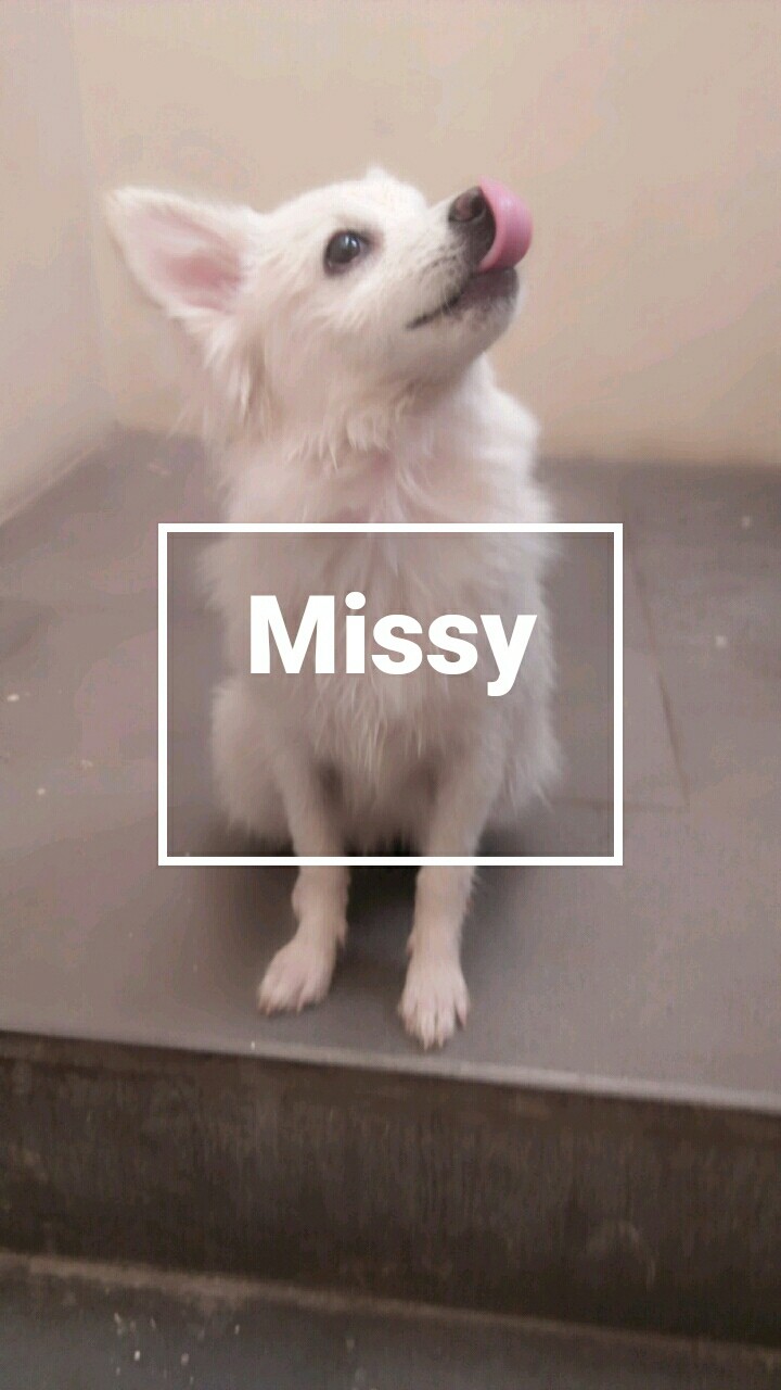 Missy  my life
