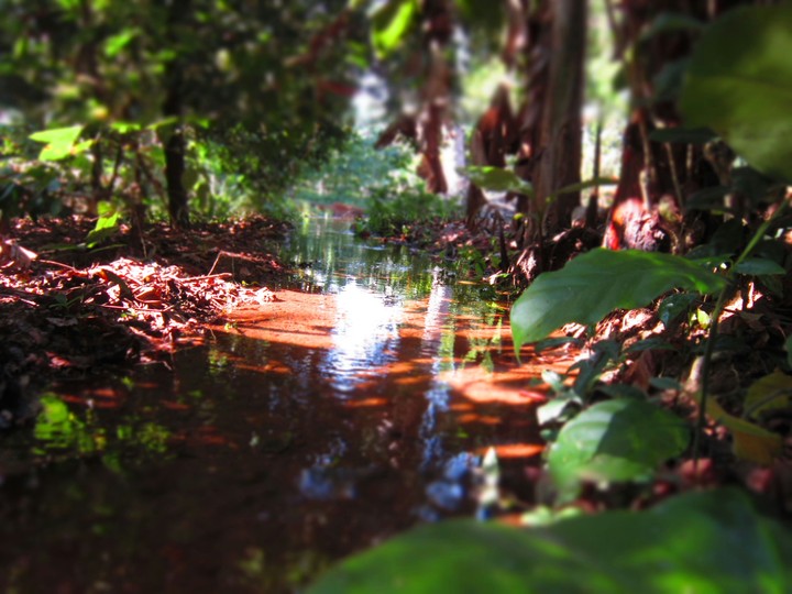 Stream going far