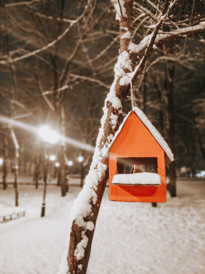 winter