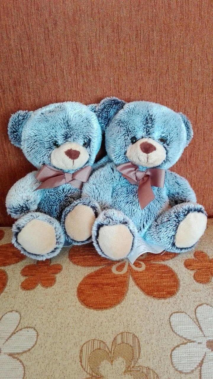 TeddyBear©