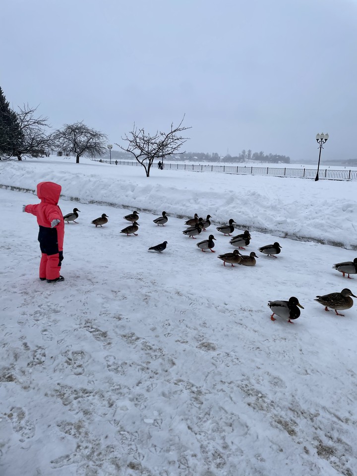 winter
