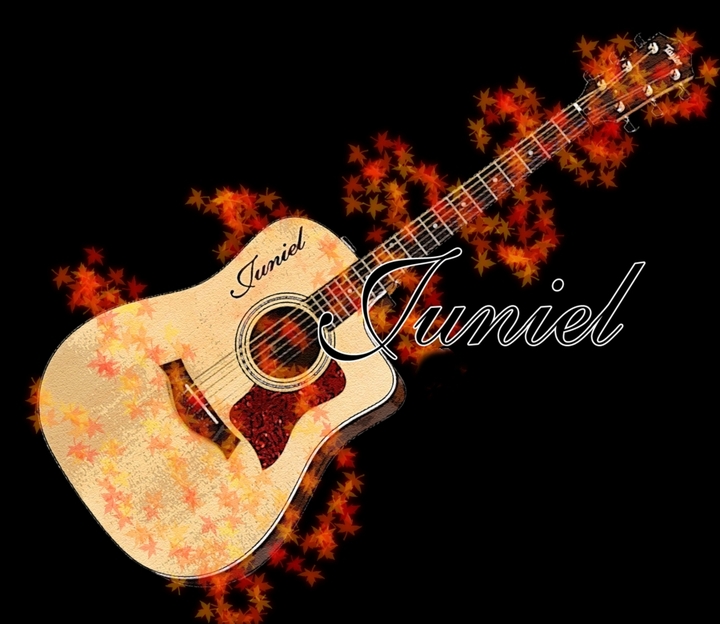 JUNIEL acoustic guitar - Taylor 214ce (Render png)