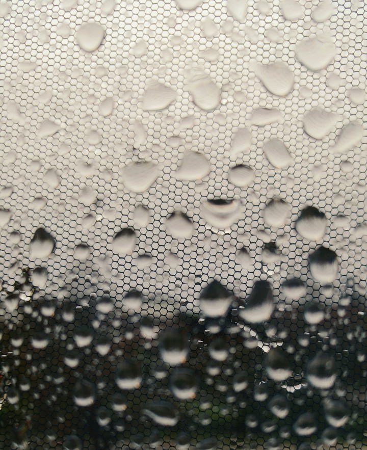 wassertropfen