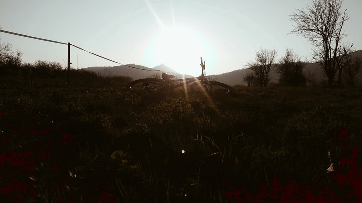Mountain bike, sunset, natur