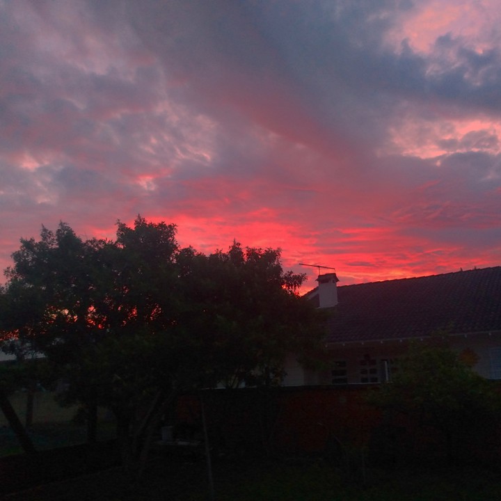Pink Sky