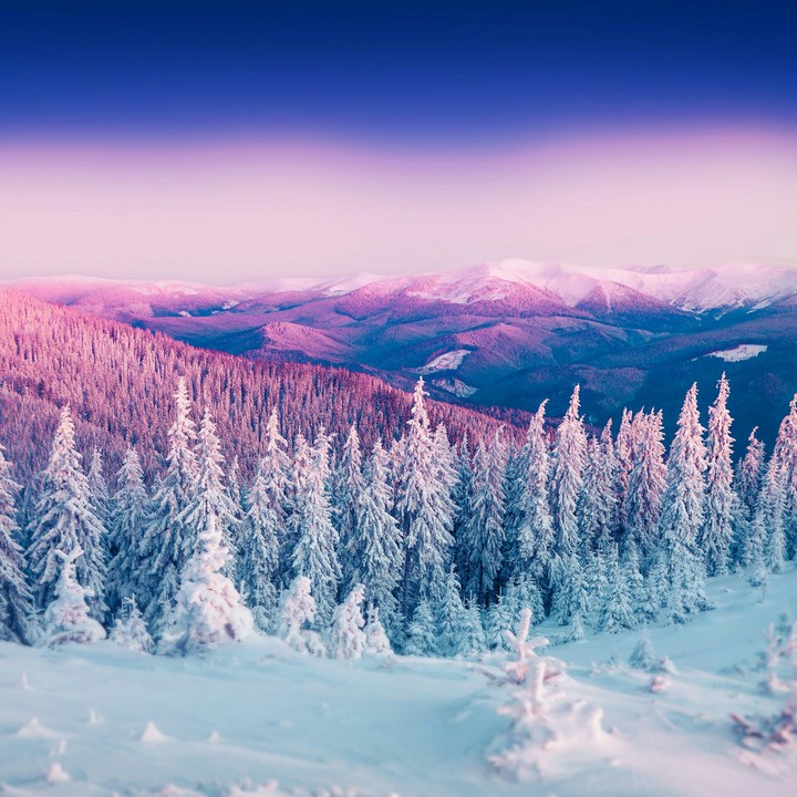 ❄