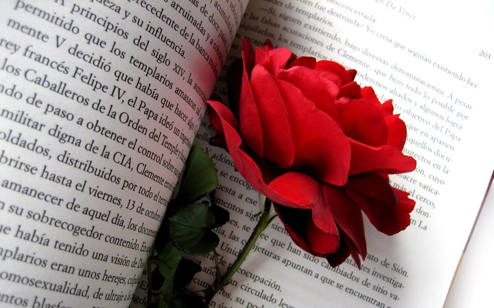 rose