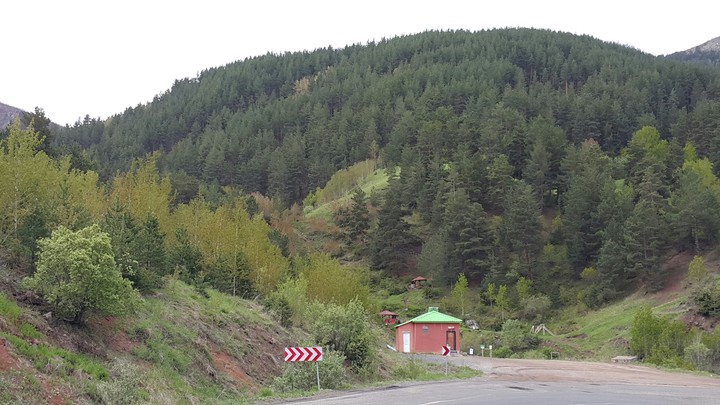 ağaç