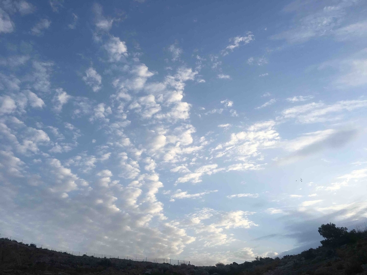 Cielo