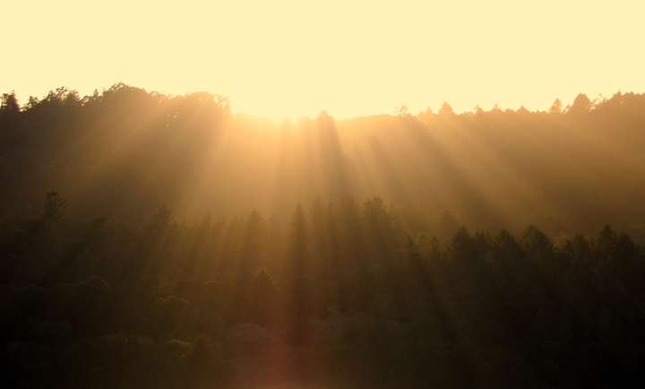 Sunshine Falls