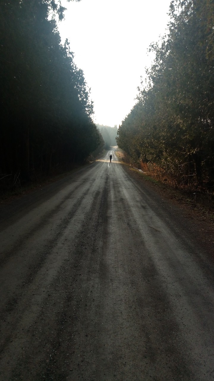 Walking down the road
