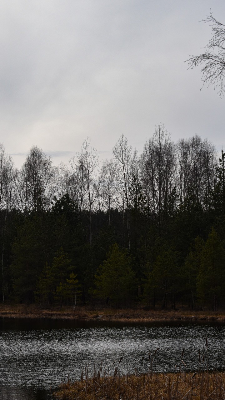 nature