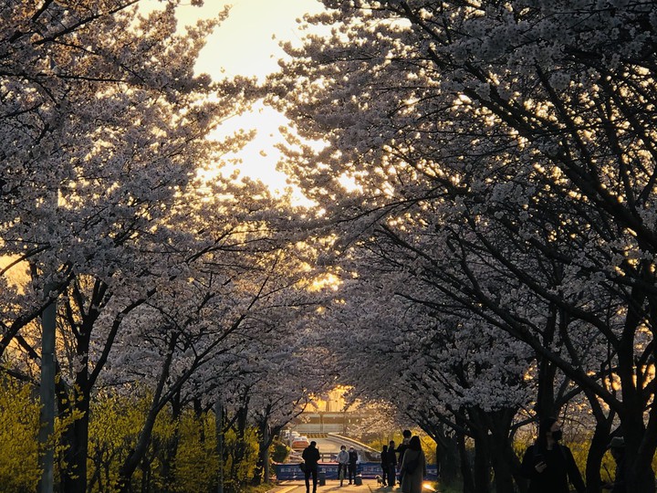 spring2