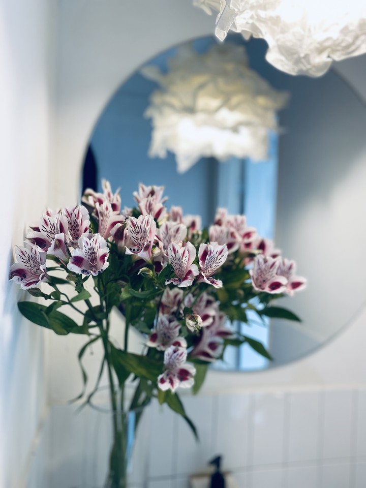 Flower in the mirror