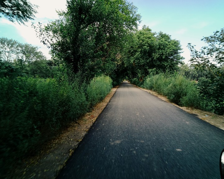 Countryside