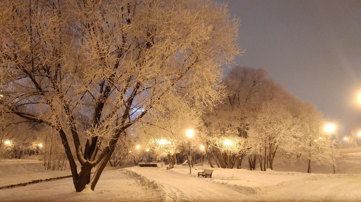 Winter