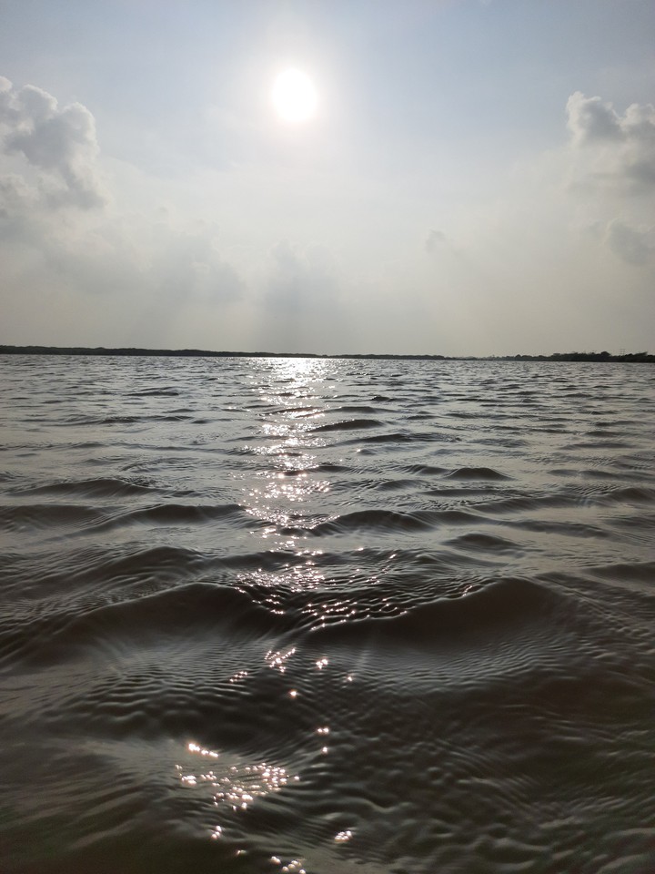 pulicat